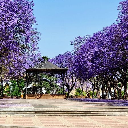 Appartamento Alazan Jerez Iv-Parking Gratis-Wifi-Netflix Jerez de la Frontera Esterno foto