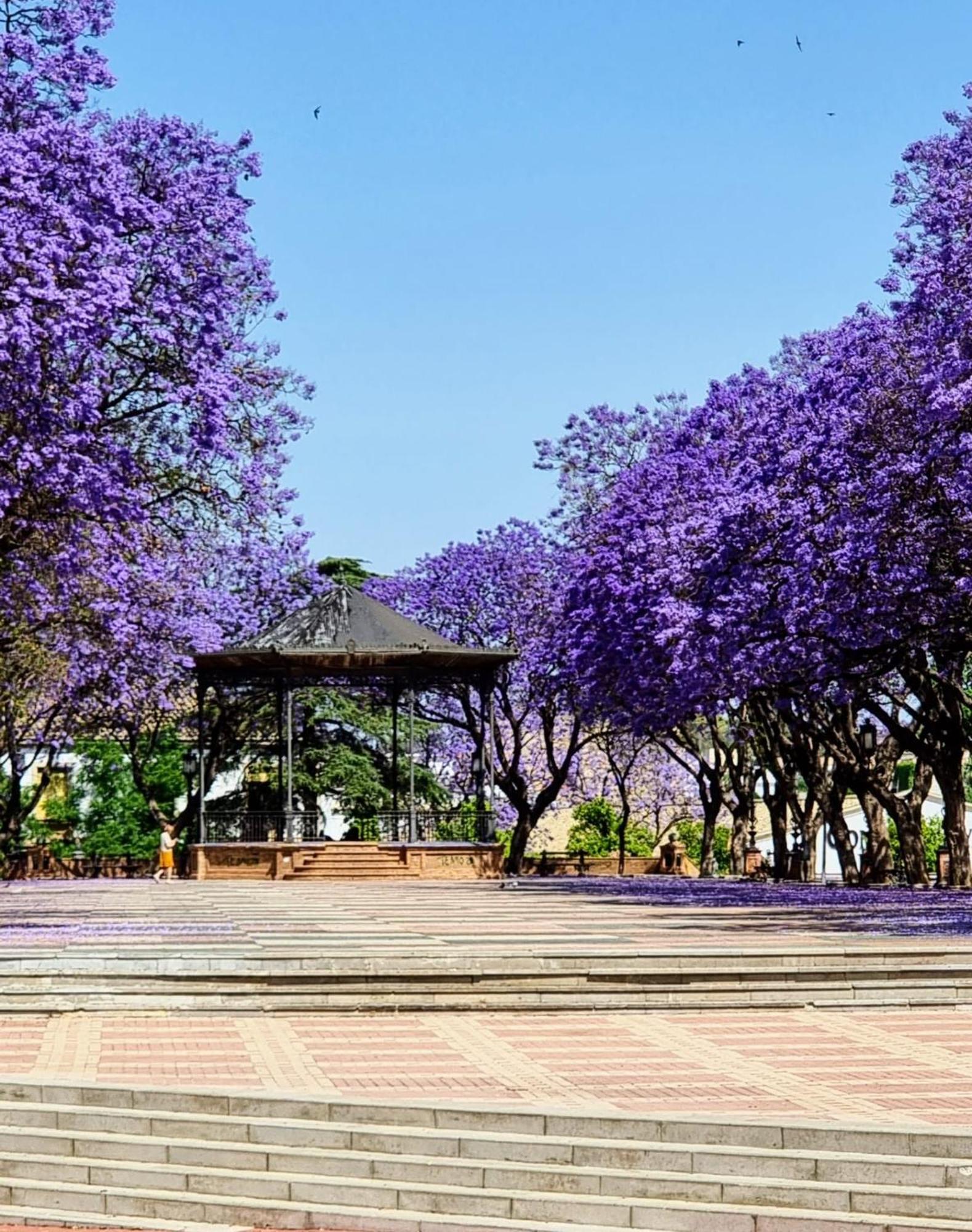 Appartamento Alazan Jerez Iv-Parking Gratis-Wifi-Netflix Jerez de la Frontera Esterno foto