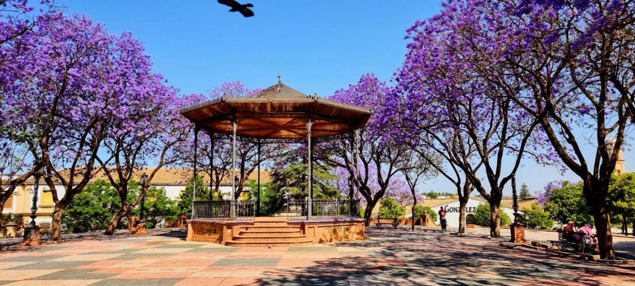 Appartamento Alazan Jerez Iv-Parking Gratis-Wifi-Netflix Jerez de la Frontera Esterno foto